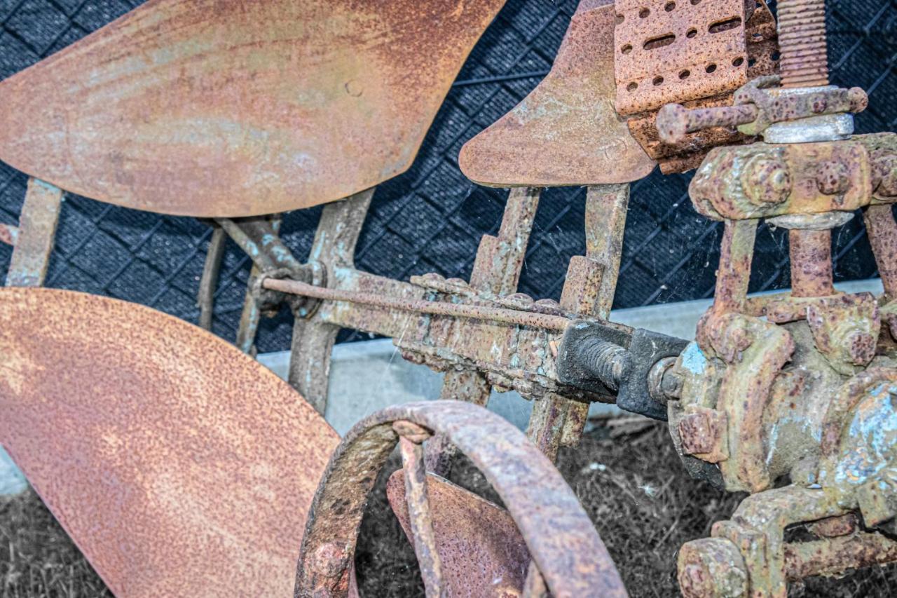De Lammersdamhoeve Wingene Ngoại thất bức ảnh