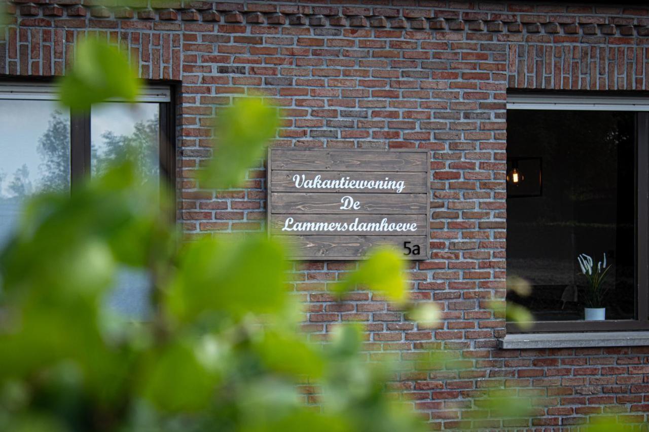 De Lammersdamhoeve Wingene Ngoại thất bức ảnh